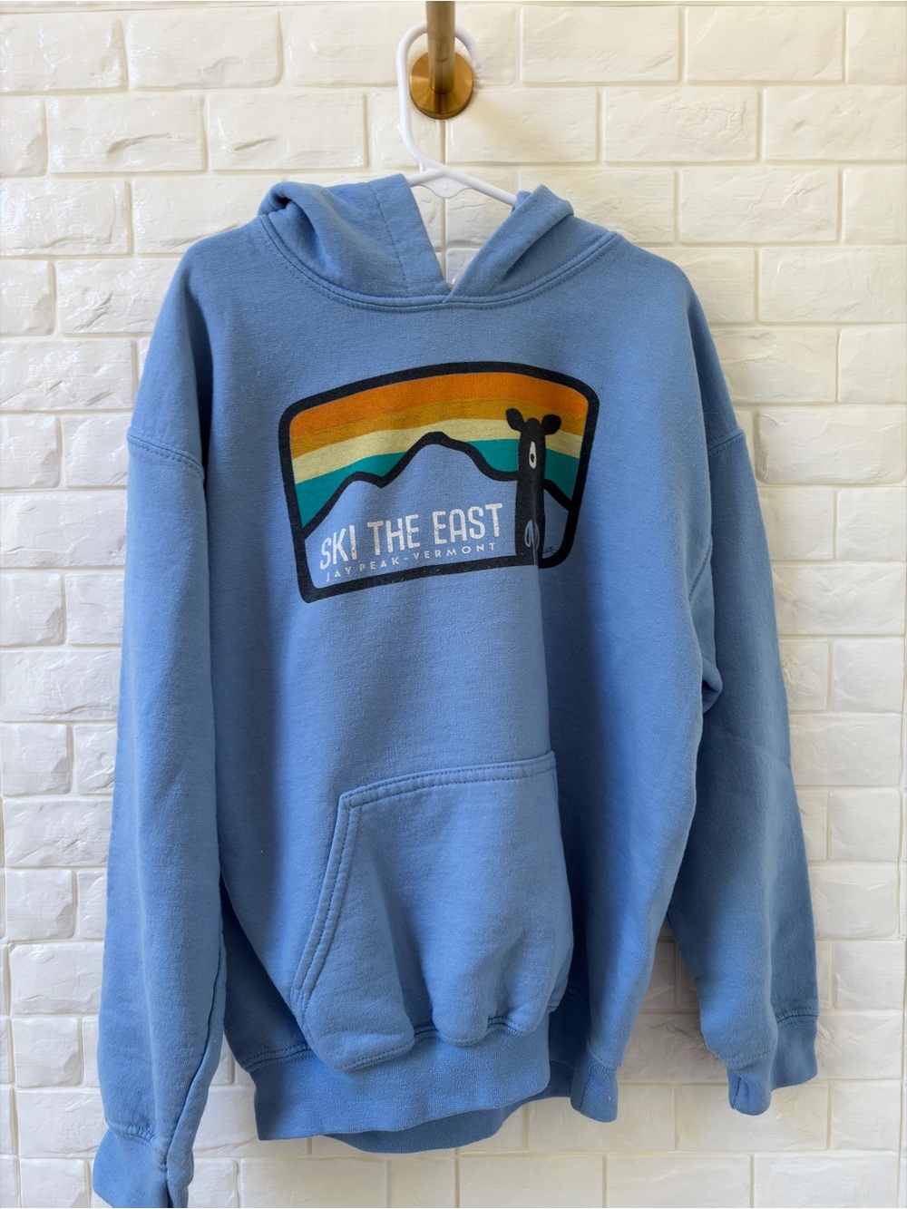Gildan Light Blue Kids Ski the East Hoodieo with Mountain Stripe Graphic